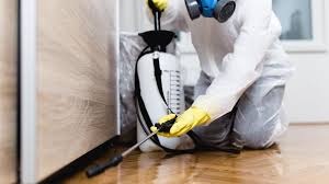 Best Real Estate Pest Inspections  in Fourche Crossing, LA